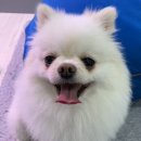 우리들동물종합병원 이미지