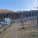 성진농장 2 이미지