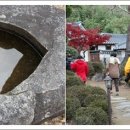 성씨고가 이미지