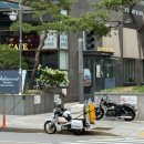 문뜩디저트 | 삼성역 코엑스 카페 르푸도레 빙수 디저트 내돈내산 후기