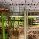 유천농장 이미지