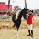 소프라승마클럽