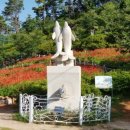 스마일 민박 이미지