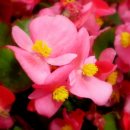 민요와 반주장단 이미지