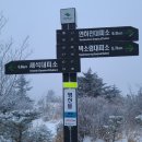 우듬지 이미지
