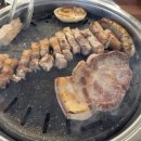 카카오 이미지