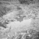 하천(박석교) 이미지