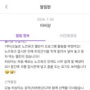 퍼피트리 애견유치원&호텔 이미지