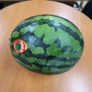 곤양주유소 이미지