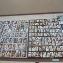 조방해물낙지 이미지