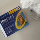 시민온누리약국 이미지