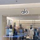 알로 롯데백화점 잠실점 | 잠실 롯데백화점 알로 요가 피팅 후기 트라우저, 요가탑 사이즈비교 현실 리뷰