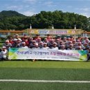 야로중학교 이미지