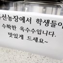 창선농장 이미지