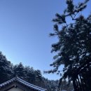스테이코 | [양평 바비코한옥스테이] 프라이빗 돔사우나에서 찐 힐링! 감성 한옥스테이 추천 후기💛