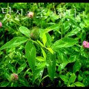 풍기북부초등학교 이미지