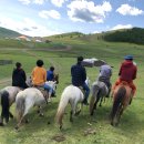 맑은 선율, 우쿨렐레 이미지