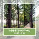 한우물숲길공원 | 서울 가볼만한곳 상암 노을공원 메타세콰이어길 산책 힐링 숲길 후기