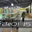 플레이153