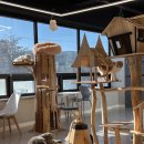 예뻐질:개&고양이카페 이미지