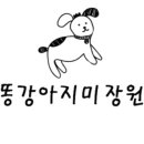 똥강아지애견샵 이미지
