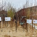 홍천군산림조합 이미지