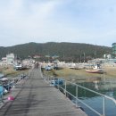 삼길포횟집