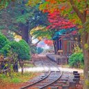 언제나,예쁘다 이미지