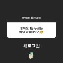 키타 티스토리