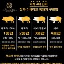 정도미트