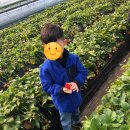 율하엘리트태권도장 이미지