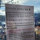어비움 | 서울 근교 드라이브 용인 파스타 맛집 [다이닝카페어비움] 후기