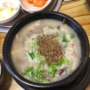와룡순댓국 네이버블로그