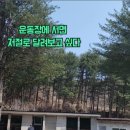 상천초 물로분교장 이미지