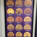 미친피자 건대본점 이미지