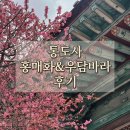 경전슈퍼 | 경남 양산 통도사 홍매화, 우담바라 보고 온 후기ㅣ위치 및 주차 정보ㅣ핸드폰 촬영 팁