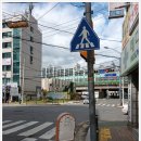 성심메디팜약국 이미지