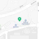 충북커먼레일부란자