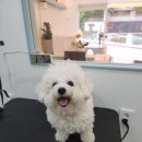 보리미용실 이미지