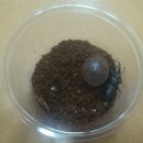 장풍이닷컴 이미지