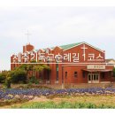 제주기독교순례길 1코스 순종의 길 | [제주선교여행] 제주기독교순례길 1코스 순종의 길(금성교회, 남당물터, 이도종목사생가, 조봉호선생...