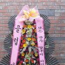 샤오냐오