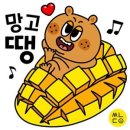 펀키즈유치원 이미지