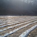 전원 부동산 중개인 사무소 이미지