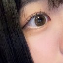 뽀나스PC | 세렌디피티 초코 (직경 13.1) 피치플레인 , 센티드 부케 후기 ++ 피치블룸, 피오니티 발색 추가(0830)