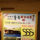 장어숲