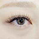 눈썹쟁이 이미지