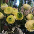 진우(아) 이미지