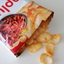 (주)칩플러스