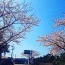 덕천리 삼거리 민박 이미지